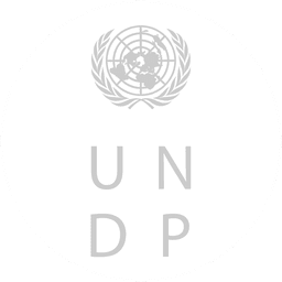 UNDP